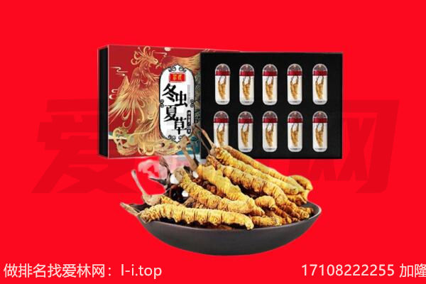 阜城县回收虫草.jpg